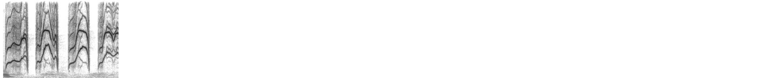 Странствующий дрозд - ML651979106