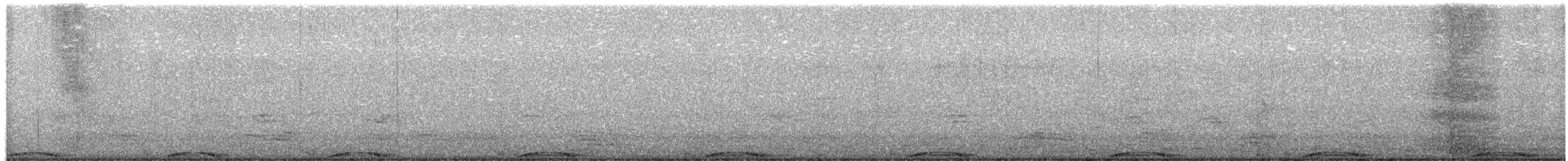 Spitzschopftaube - ML651982293