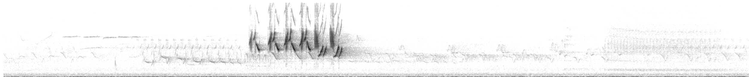 MacGillivray's Warbler - ML651989559