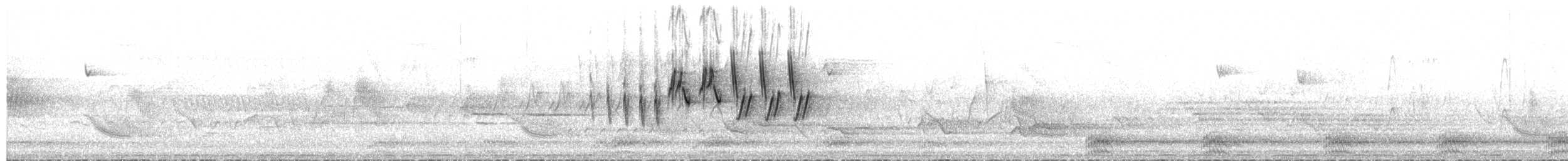 MacGillivray's Warbler - ML651991842