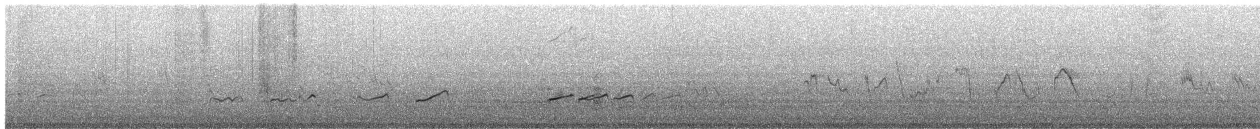 Gray-tailed Tattler - ML651996811