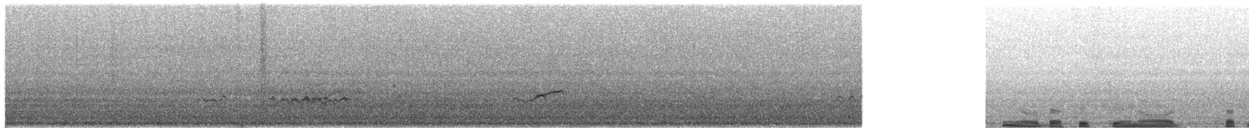 Gray-tailed Tattler - ML651996812