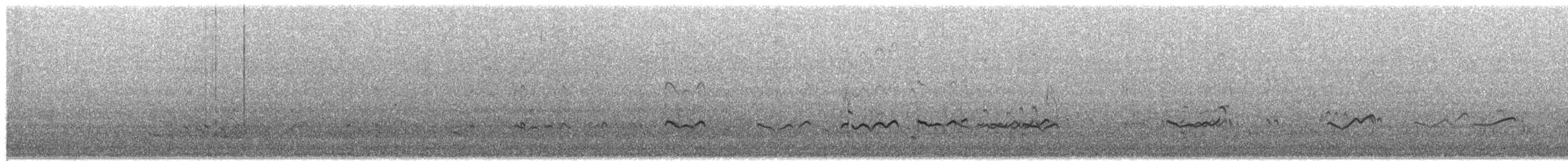 Gray-tailed Tattler - ML651996814