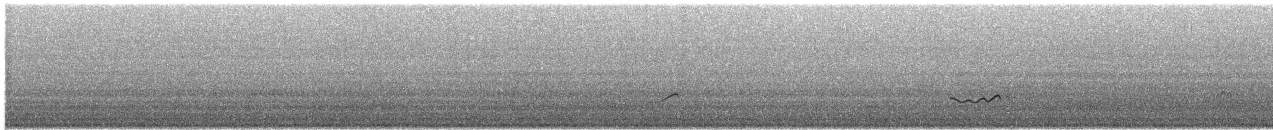 Gray-tailed Tattler - ML651996815