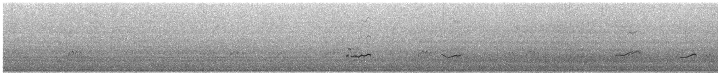 Gray-tailed Tattler - ML651996816