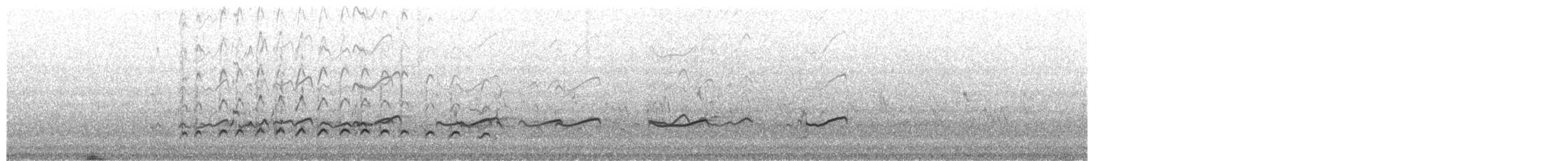 Gray-tailed Tattler - ML651996823