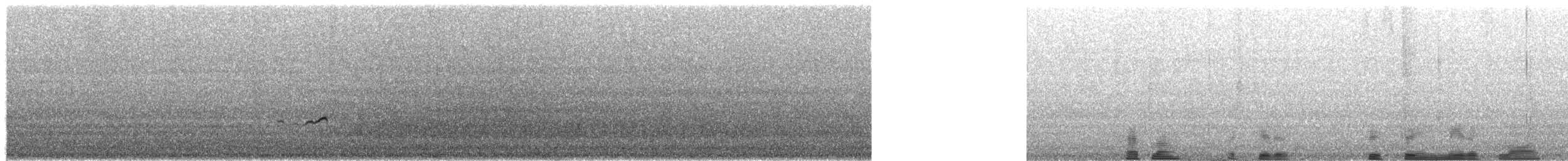 Gray-tailed Tattler - ML651996824