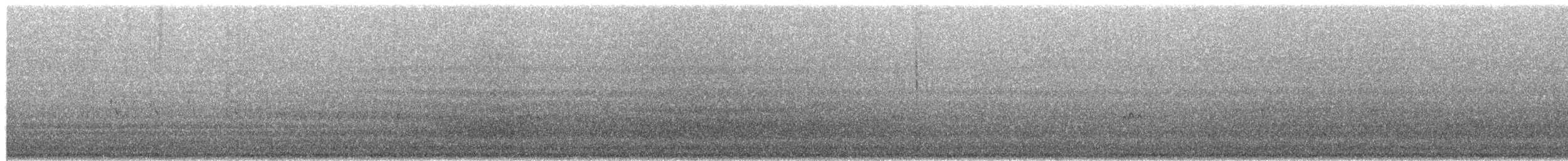 Red-necked Stint - ML651996849