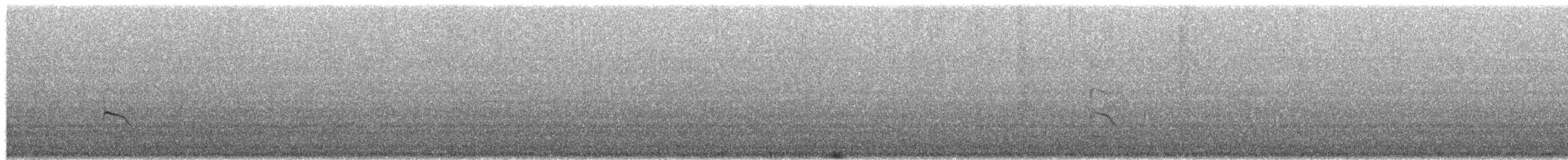 Ruddy Turnstone - ML651996856