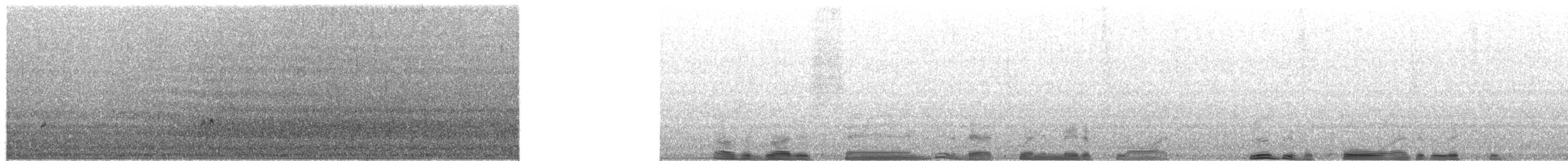 Greater Sand-Plover - ML651996866