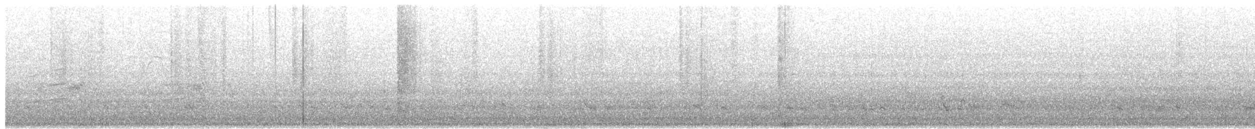 Gray-tailed Tattler - ML651998608