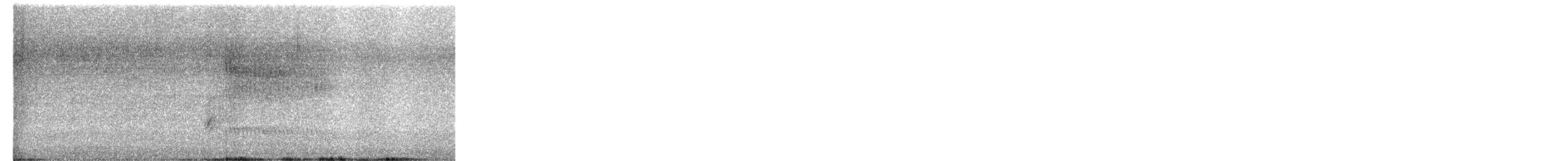 Whyte's Barbet - ML651999203