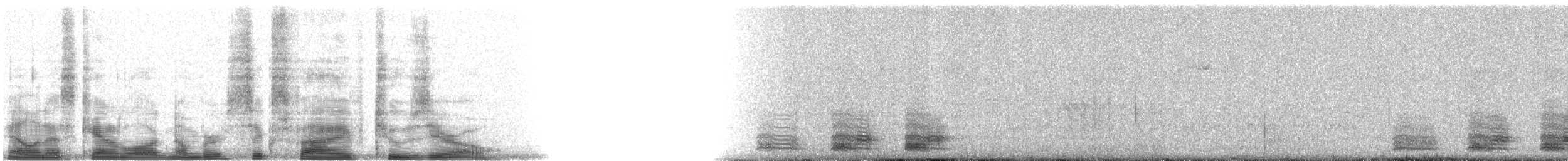 Coppery-tailed Trogon - ML6520