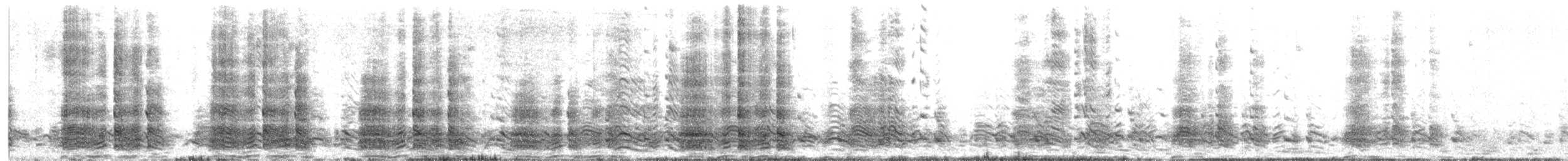 ヒゲペンギン - ML652002117