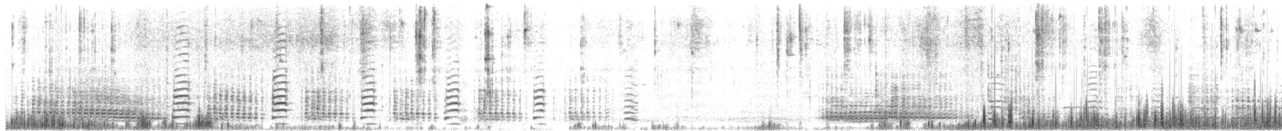 ジェンツーペンギン - ML652002212