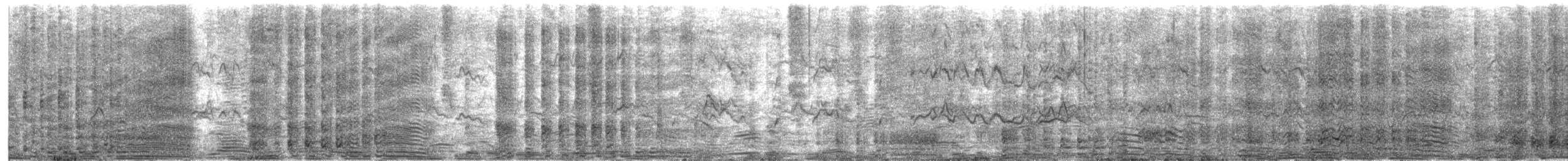 アデリーペンギン - ML652002263