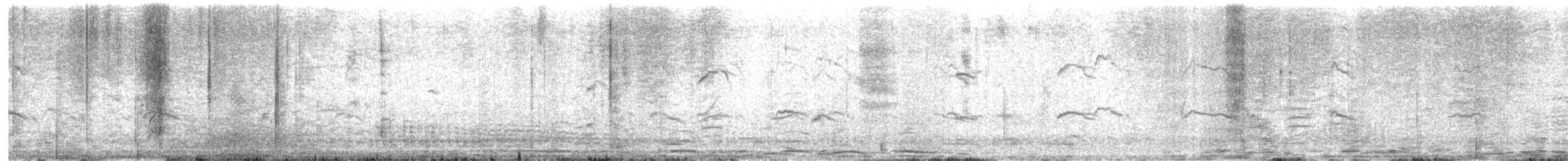 アデリーペンギン - ML652002264