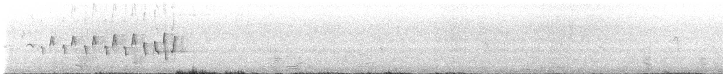 Noisy Scrub-bird - ML652005278