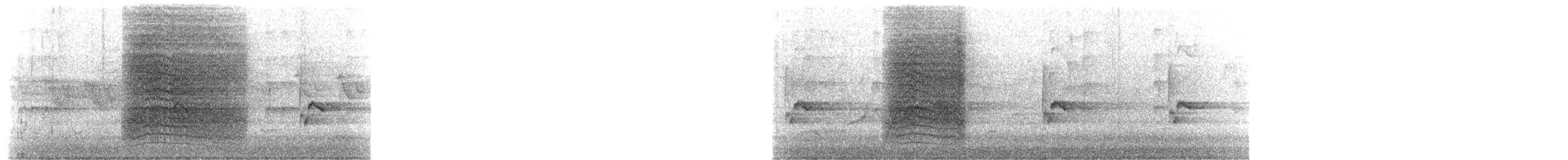 ネコマネドリ - ML652006593