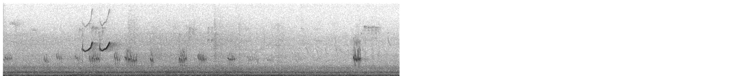 アメリカウズラシギ - ML652007827