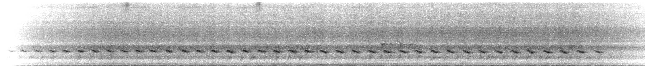 Sangihe Cicadabird (Talaud) - ML652008417