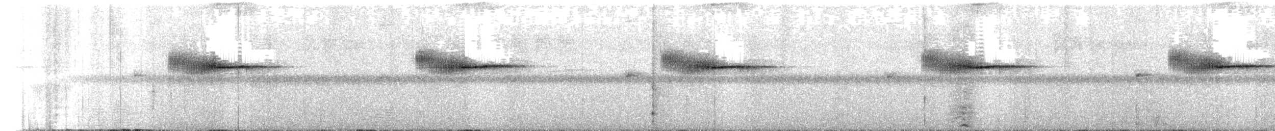 Taliabu Bush Warbler - ML652008512