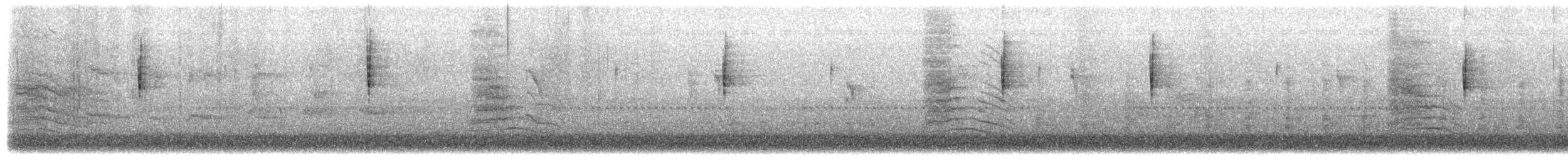 ネコマネドリ - ML652015296