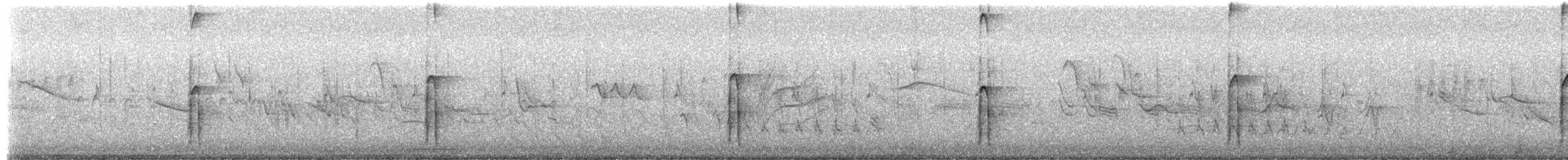 Hairy Woodpecker - ML652019709