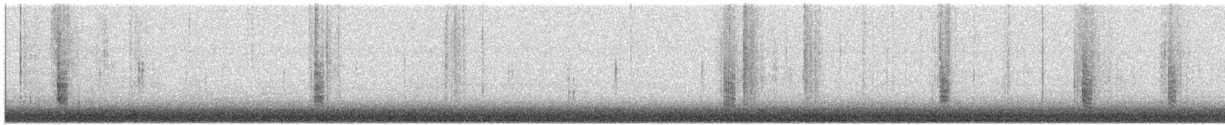 Cucarachero Culibarrado - ML652020107