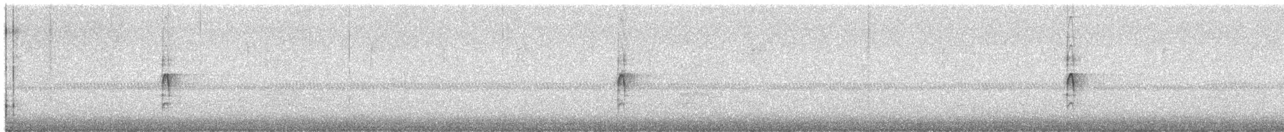 Hairy Woodpecker - ML652021290