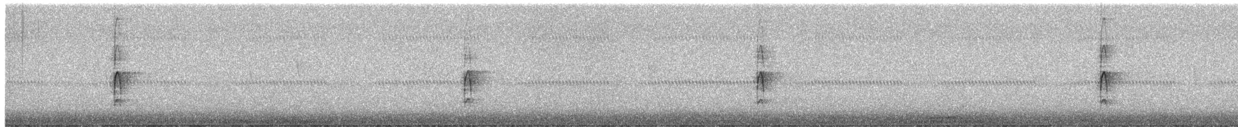 Hairy Woodpecker - ML652021291