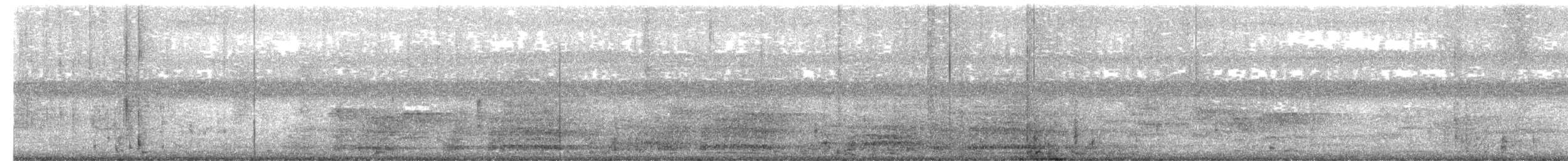 White-bellied Chachalaca - ML652022302