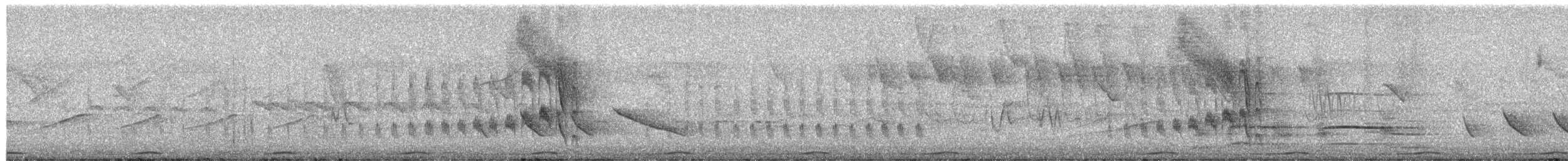Mouse-colored Tyrannulet (Northern) - ML652027448