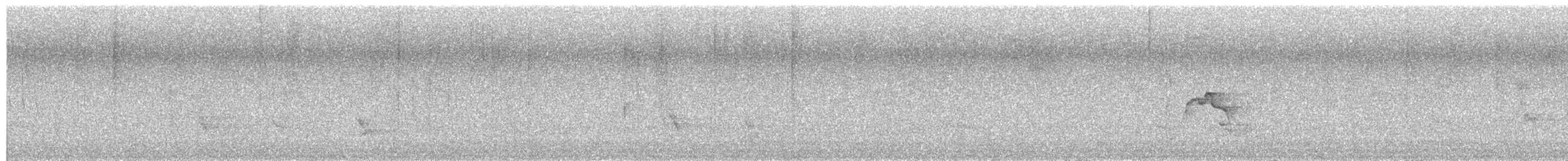 Caribbean Elaenia - ML652031201