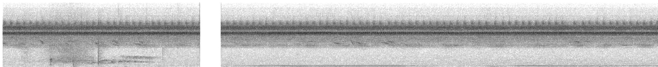 Puerto Rican Owl - ML652032130