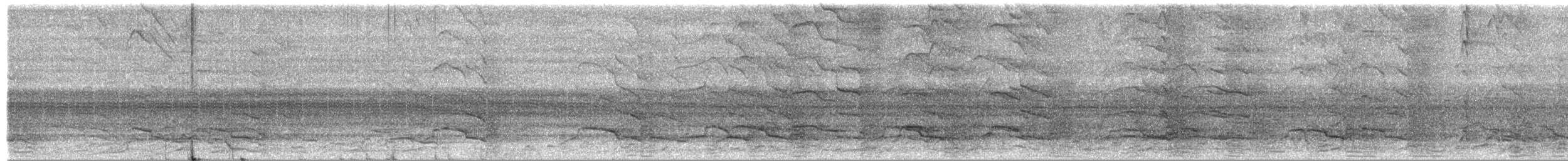 Gelbschwanz-Rabenkakadu - ML652050485