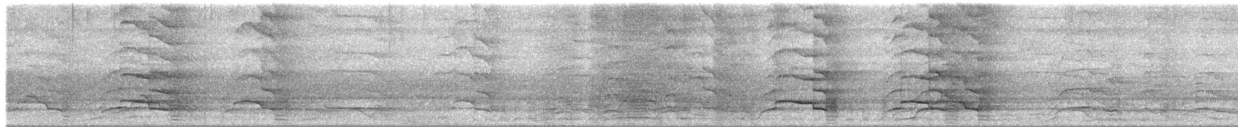 Gelbschwanz-Rabenkakadu - ML652050523