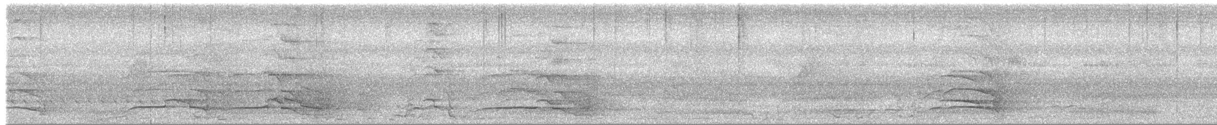 Gelbschwanz-Rabenkakadu - ML652050669