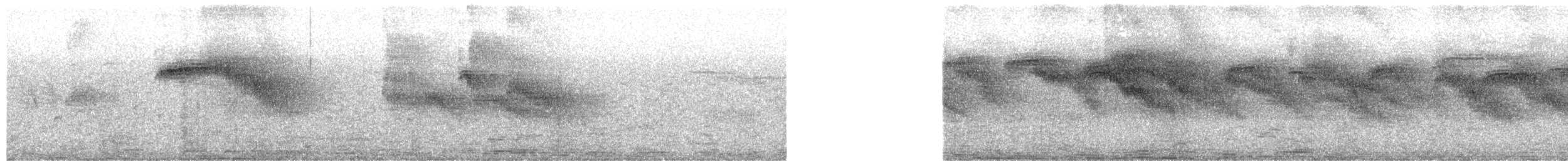 Серпокрилець чорний - ML652064861