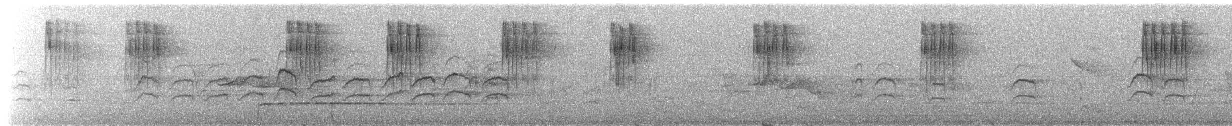 Sıvacı (sinensis/formosana) - ML652069939