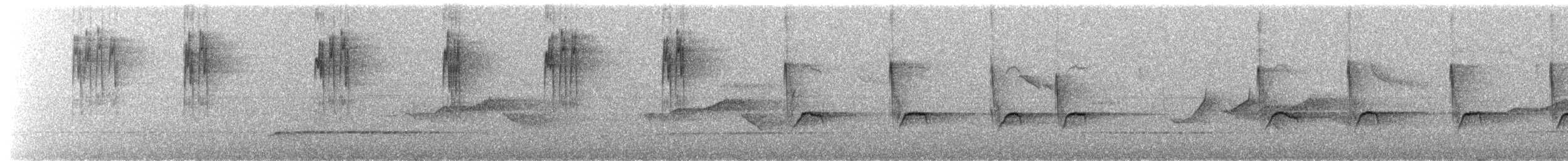 Sıvacı (sinensis/formosana) - ML652070254