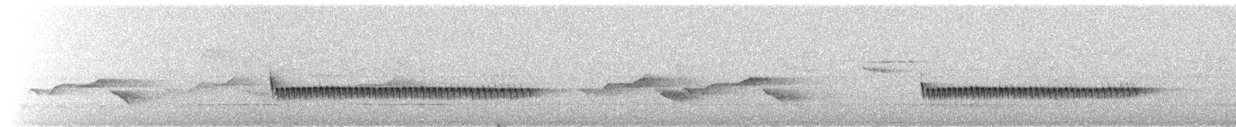 Sıvacı (sinensis/formosana) - ML652070592