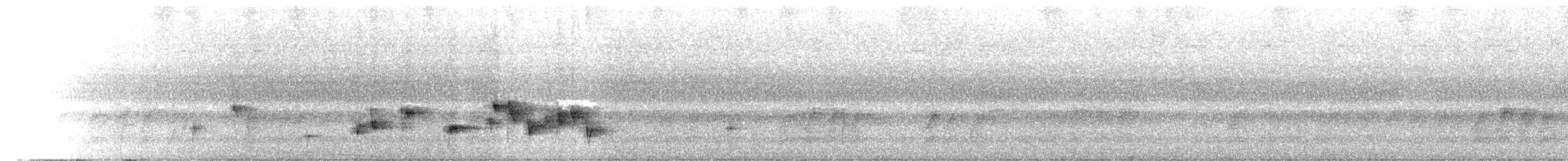 蒼眉蝗鶯 - ML652077653