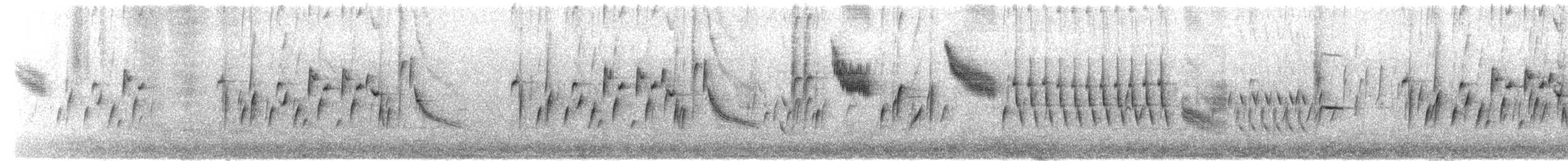 Cardellino - ML652079190