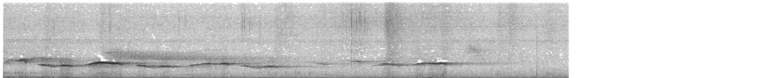 Tchagra à tête noire (groupe senegalus) - ML652080952