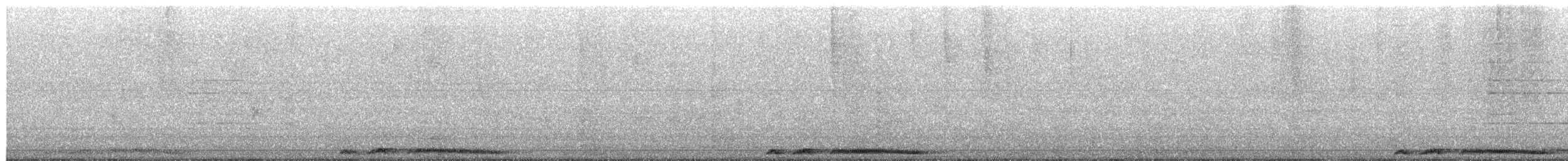 Spotted Dove - ML652082430