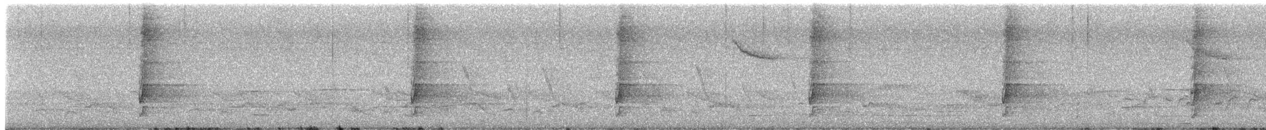 Autour tachiro - ML652082603