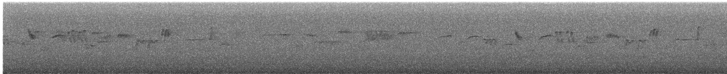 Plumbeous Redstart - ML652082645