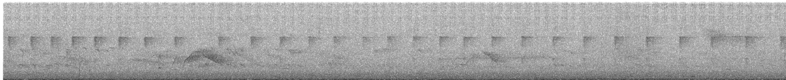 White-eared Sibia - ML652083075