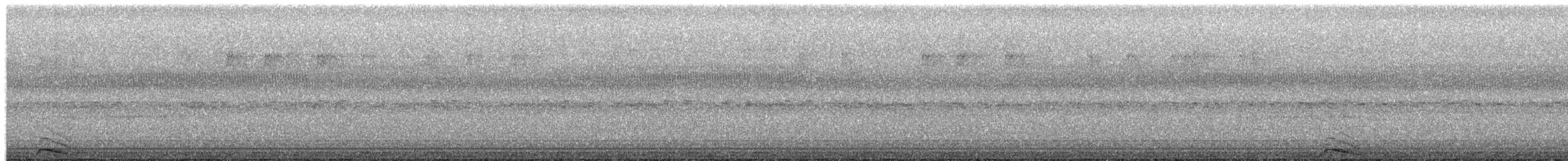 Collared Scops-Owl - ML652083579